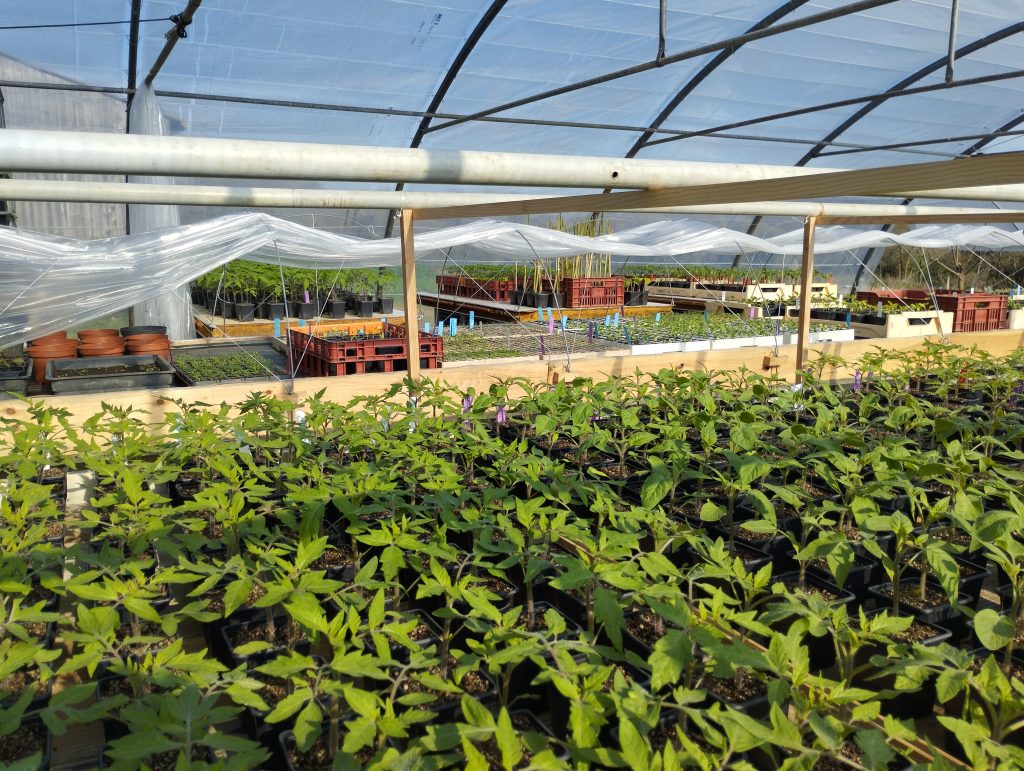 La serre des Jardins de Quintin