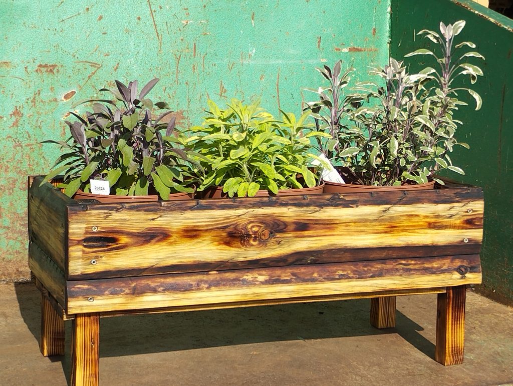 Bac en bois avec des plantes