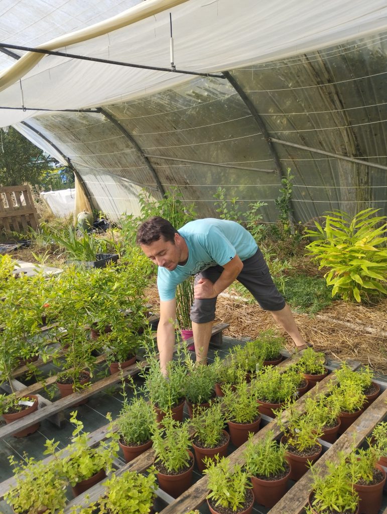 Thomas s'occupe des plants