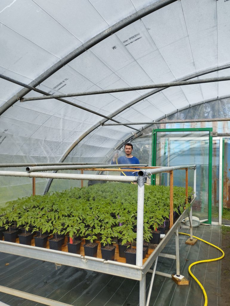 Thomas arrose les plants dans la serre